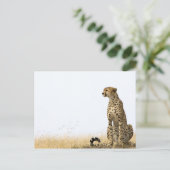 Cheetah Briefkaart (Staand voorkant)