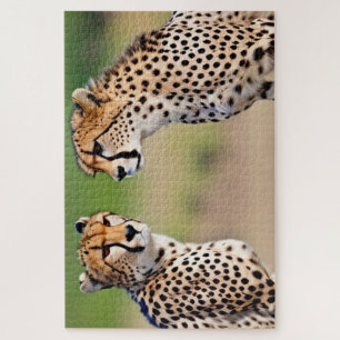 Cheetah Brothers Legpuzzel