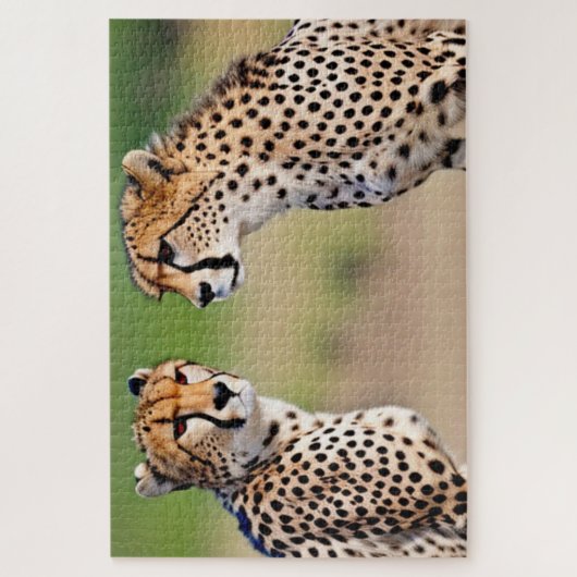 Cheetah Brothers Legpuzzel (Verticaal)