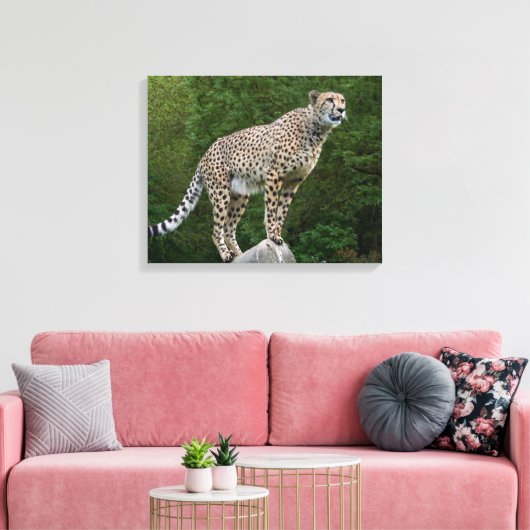 Cheetah Canvas Afdruk (Insitu (Woonkamer))
