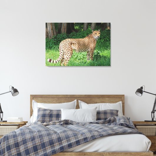 Cheetah Canvas Afdruk (Insitu (Slaapkamer))