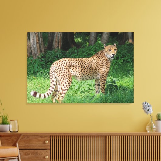 Cheetah Canvas Afdruk (Insitu (Woonkamer))