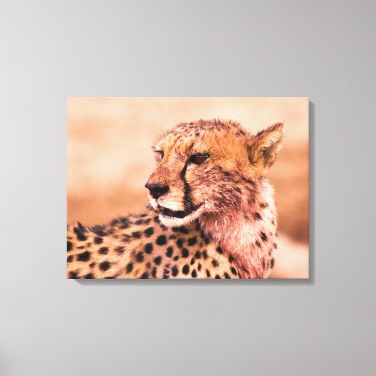 Cheetah Canvas Afdruk (Voorkant)
