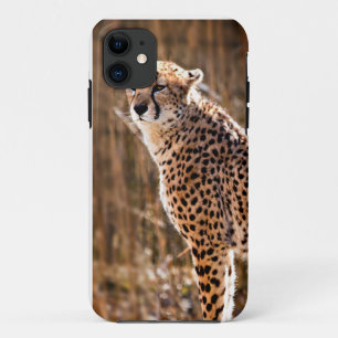 Cheetah iPhone 11 Hoesje