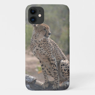 Cheetah iPhone 11 Hoesje