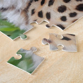 Cheetah Chat Wild Art Puzzle Nature (Côté)