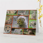 Cheetah-Collage001 Kaart (Gele Bloem)