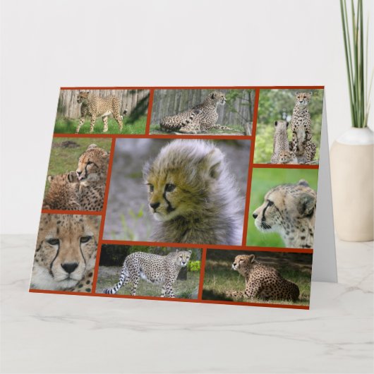 Cheetah-Collage001 Kaart (Voorkant)