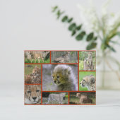 Cheetah-Collage 001 Poster Aankondigingskaart (Staand voorkant)