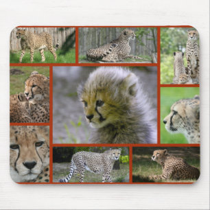 Cheetah-Collage 001 Poster Muismat