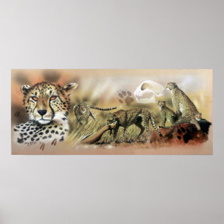 Cheetah Collectie Poster