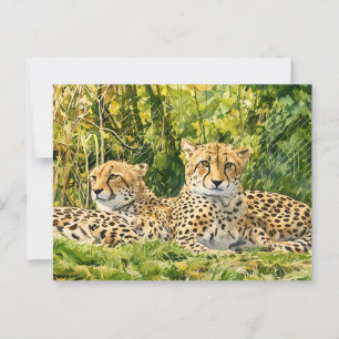 Cheetah Companions - Rusten in het wild Briefkaart