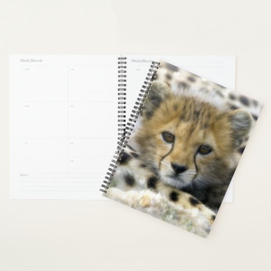 Cheetah Cub (Devant avec enveloppe)
