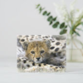 Cheetah Cub Briefkaart (Staand voorkant)
