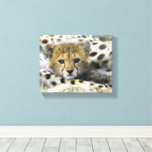 Cheetah Cub Canvas Afdruk (Insitu (Houten vloer))