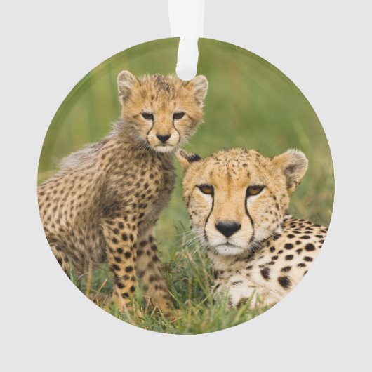 Cheetah Cub en Parent in Grass Ornament (achterkant)