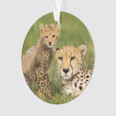 Cheetah Cub en Parent in Grass Ornament (voorkant)
