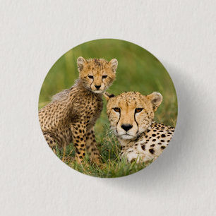 Cheetah Cub en Parent in Grass Ronde Button 3,2 Cm