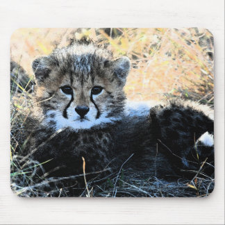 Cheetah cub muismat