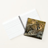 Cheetah Cub Snuggling met zijn moeder Notitieboek (Binnen)