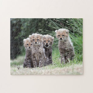 Cheetah cubs legpuzzel