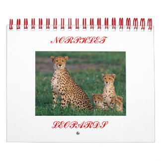 cheetah-cubs, NORPHLET, LEOPARDS Kalender