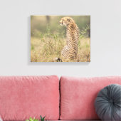Cheetah dans un cadre sauvage toile enveloppée Imp (Insitu(Salon))