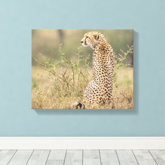 Cheetah dans un cadre sauvage toile enveloppée Imp (Insitu (Plancher de Bois))