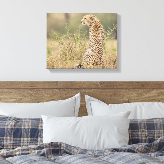 Cheetah dans un cadre sauvage toile enveloppée Imp (Insitu(Chambre))