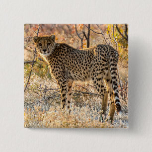 Cheetah die rond kijkt vierkante button 5,1 cm