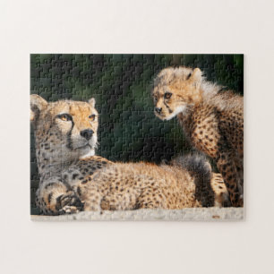Cheetah en Cub Puzzle Legpuzzel