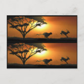 Cheetah en Gazelle-boekmerktekens Briefkaart (Voorkant)