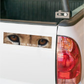 Cheetah Eyes1, BESPAAR HET WILDE LEVEN Bumpersticker (Op Truck)