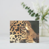 Cheetah Face Briefkaart (Staand voorkant)