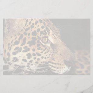 Cheetah Face Briefpapier