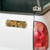 Cheetah Face Bumpersticker (Op Truck)