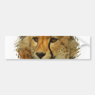 Cheetah Face Bumpersticker