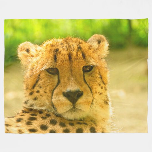 Cheetah Face Fleece Blanket (Voorkant (Horizontaal))