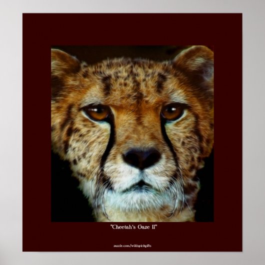 CHEETAH FACE Wildlife Art Affiche (Devant)