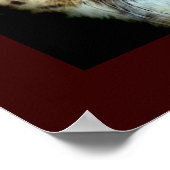 CHEETAH FACE Wildlife Art Poster (Hoek)