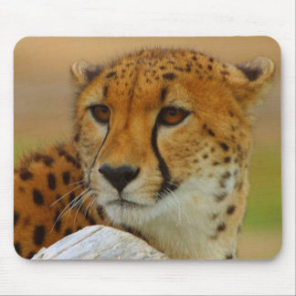 Cheetah Face Wildlife Mousepad Muismat
