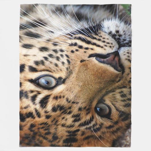 Cheetah Fleece Blanket (Voorkant)