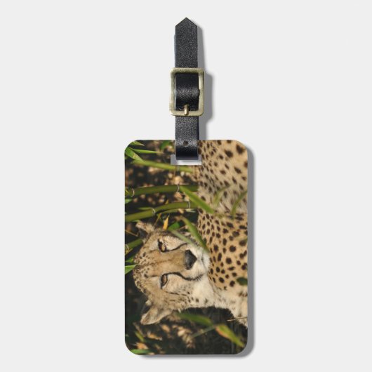 Cheetah-foto Bagagelabel (Voorkant verticaal)