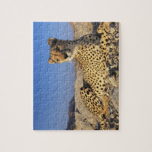 Cheetah Game Puzzle (Vertical)