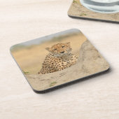 Cheetah Gaze Onderzetter (Linkerzijde)