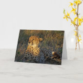 CHEETAH GREETING KAART (Gele Bloem)