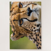 Cheetah Headshot Legpuzzel (Verticaal)