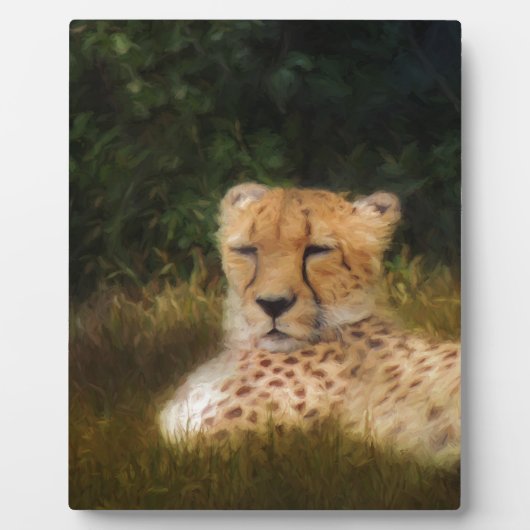 Cheetah herstellen in het centrum voor wilde diere fotoplaat (Voorkant)