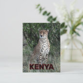 Cheetah in Kenia Briefkaart (Staand voorkant)