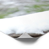 Cheetah in sneeuw poster (Hoek)